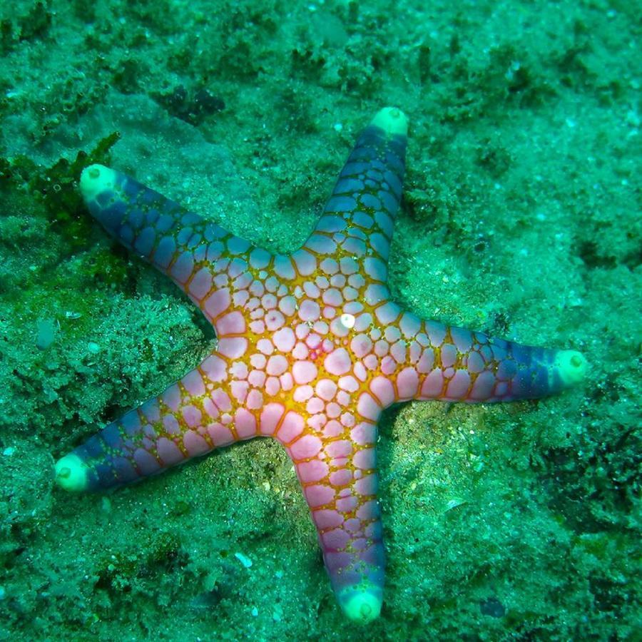 Seadina Coral Home Matara Kültér fotó