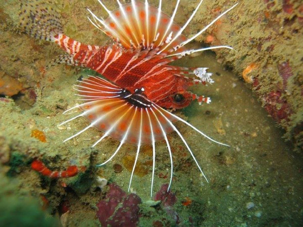 Seadina Coral Home Matara Kültér fotó